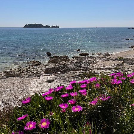 Villa Anthony Rovinj Eksteriør bilde