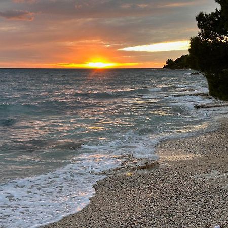 Villa Anthony Rovinj Eksteriør bilde