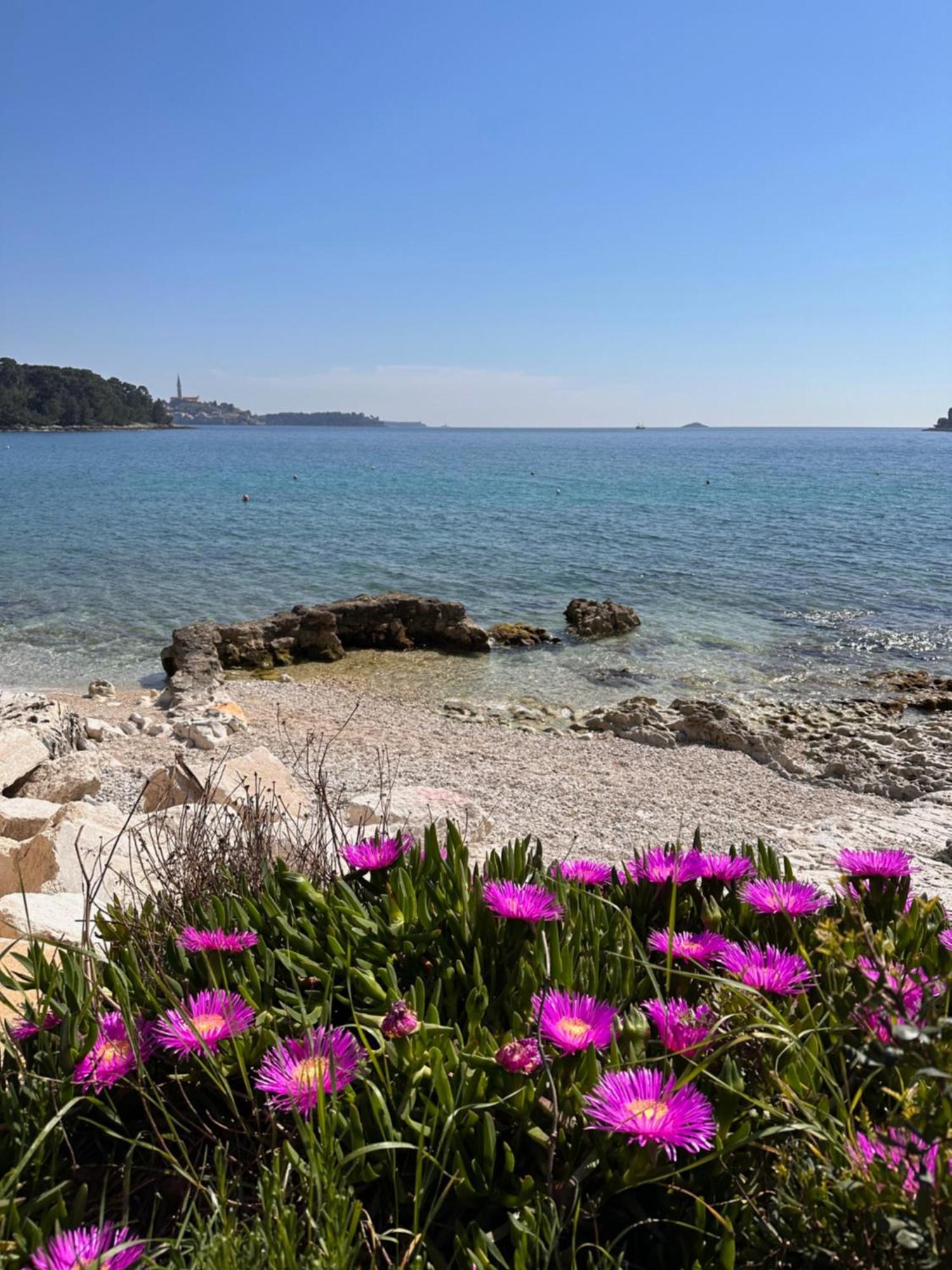 Villa Anthony Rovinj Eksteriør bilde