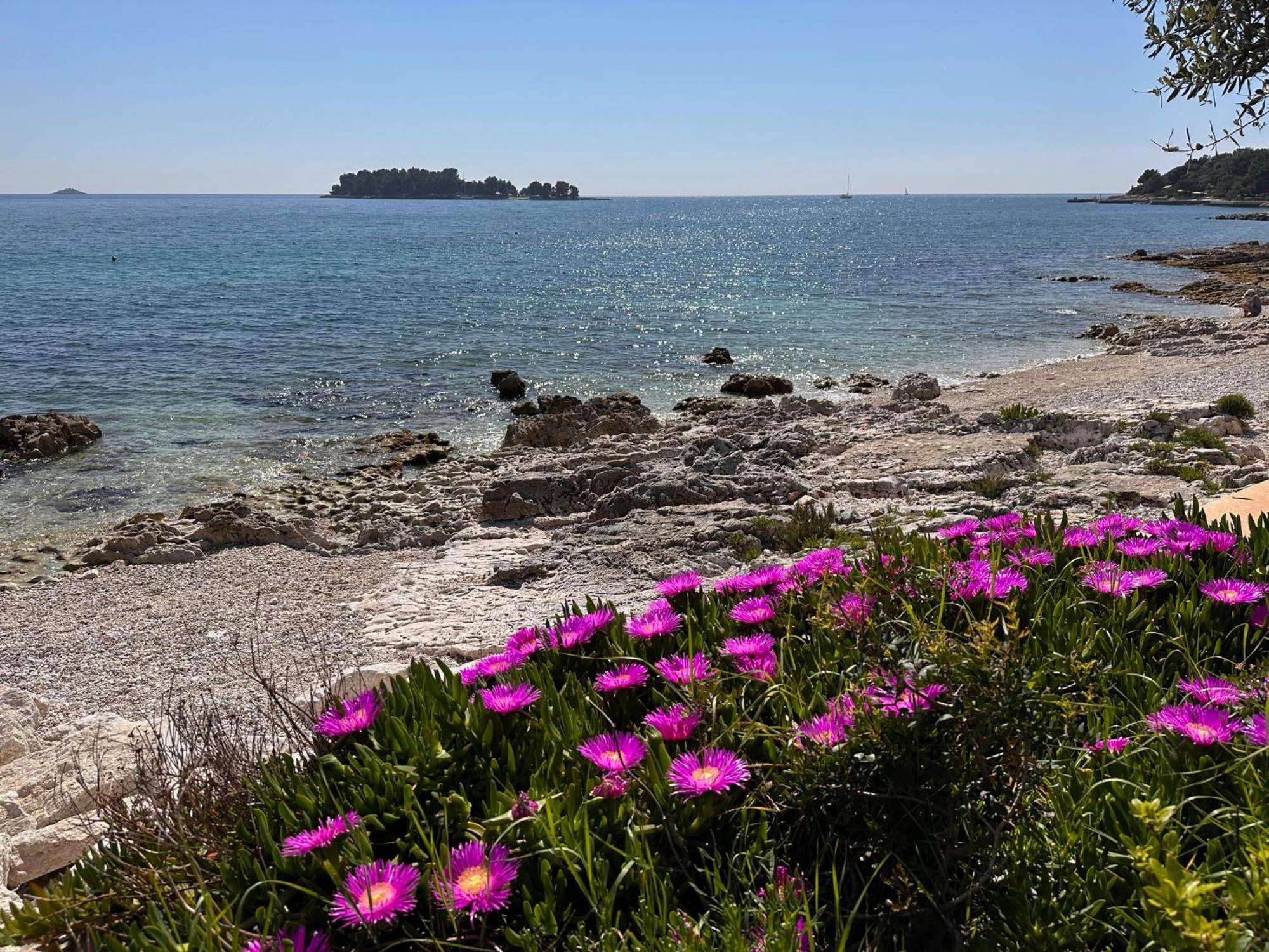 Villa Anthony Rovinj Eksteriør bilde